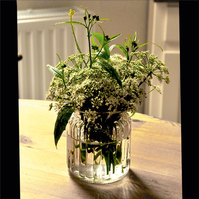 Foto Blumenstrauß Rohdaten