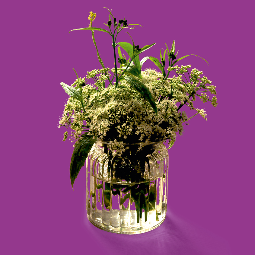 Blumenstrauß Freisteller auf pink